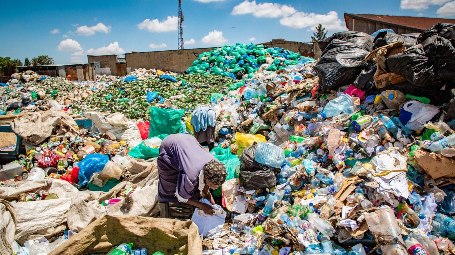 (Photo: UN Environment Multimedia Assets)