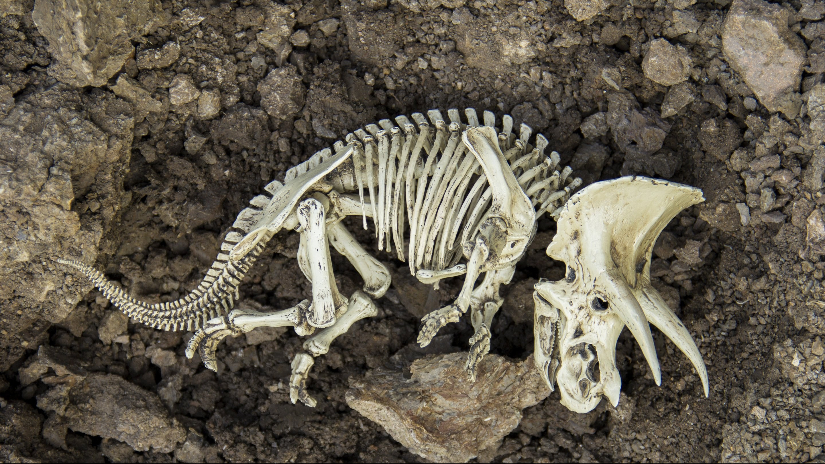 (Photo: Phys/Shutterstock)