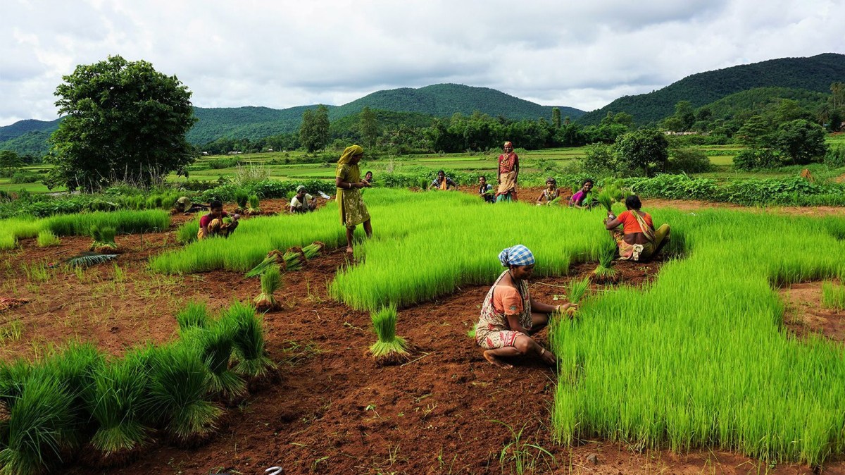 46 Terms on Food and Agriculture: What I Should&nbsp;Learn